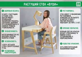 Комплект растущий стол и стул с чехлом 38 попугаев «Вуди» (Белый, Белый, Клетка) в Дегтярске - degtjarsk.mebel-74.com | фото