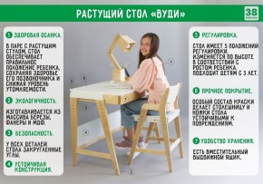 Комплект растущий стол и стул с чехлом 38 попугаев «Вуди» (Серый, Береза, Салют) в Дегтярске - degtjarsk.mebel-74.com | фото