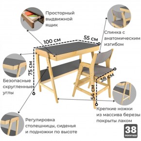 Комплект растущий стол и стул с чехлом 38 попугаев «Вуди» (Серый, Береза, Серый) в Дегтярске - degtjarsk.mebel-74.com | фото