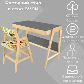 Комплект растущий стол и стул с чехлом 38 попугаев «Вуди» (Серый, Без покрытия, Монстры) в Дегтярске - degtjarsk.mebel-74.com | фото