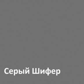 Юнона Шкаф торцевой 13.221 в Дегтярске - degtjarsk.mebel-74.com | фото